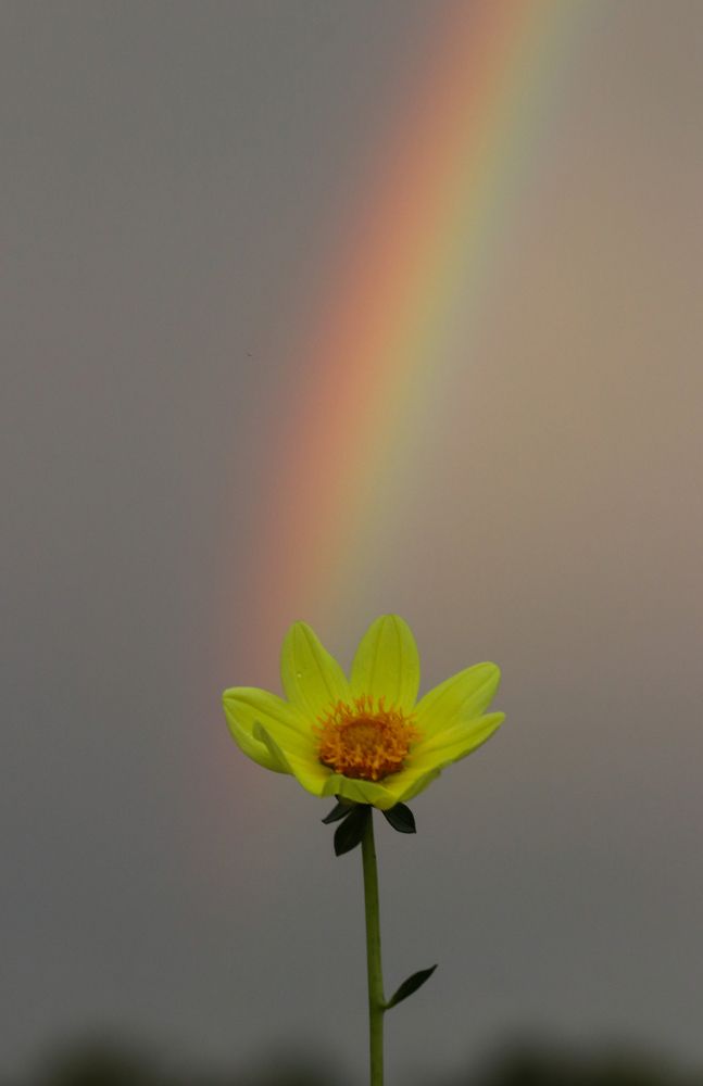 Photograph by Виктория Писаренко