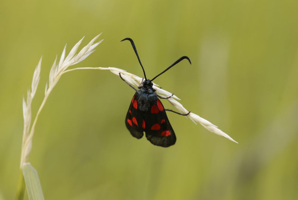 Photograph by Виктория Писаренко