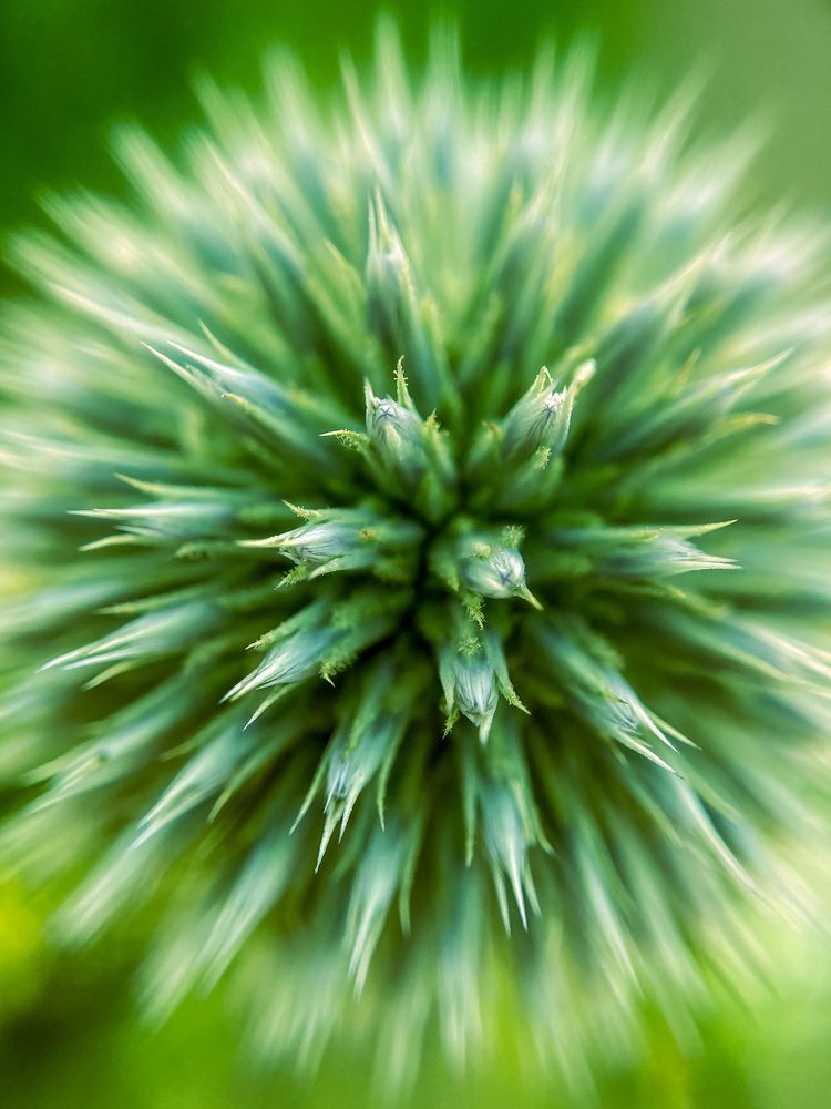 Photograph by Светлана Хаматзянова