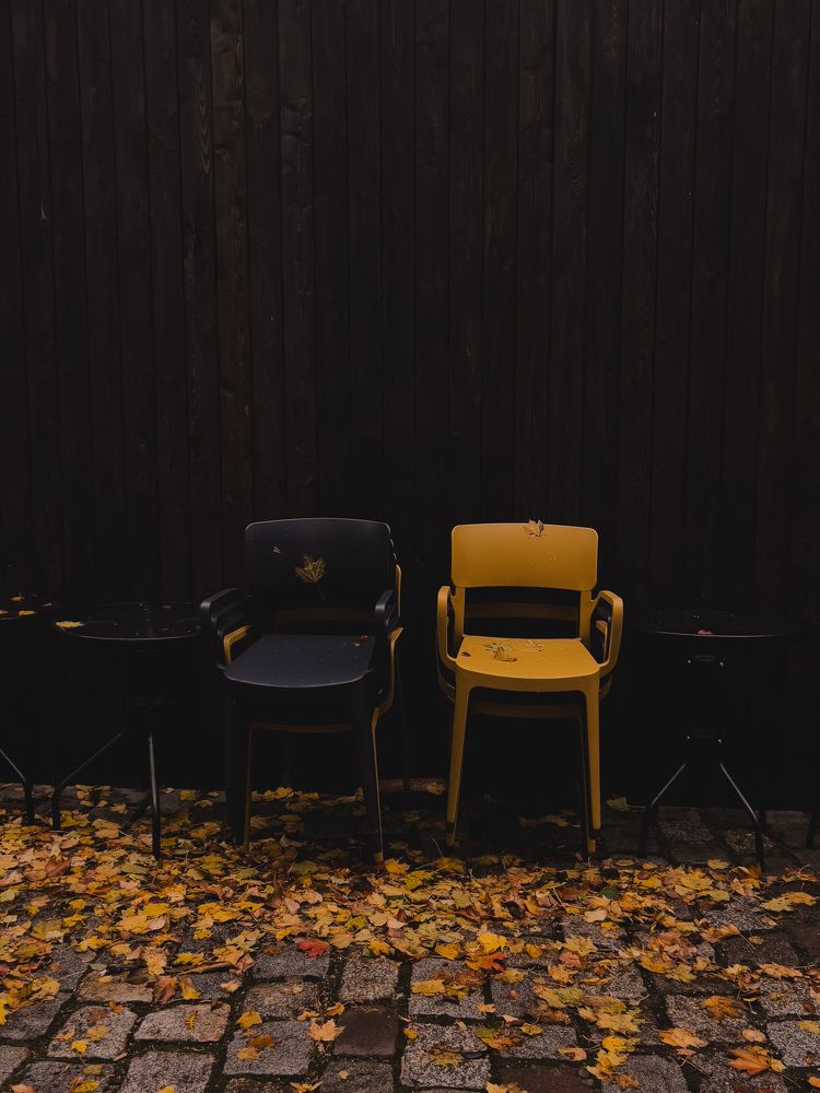 Photograph by Алиса Нежинская