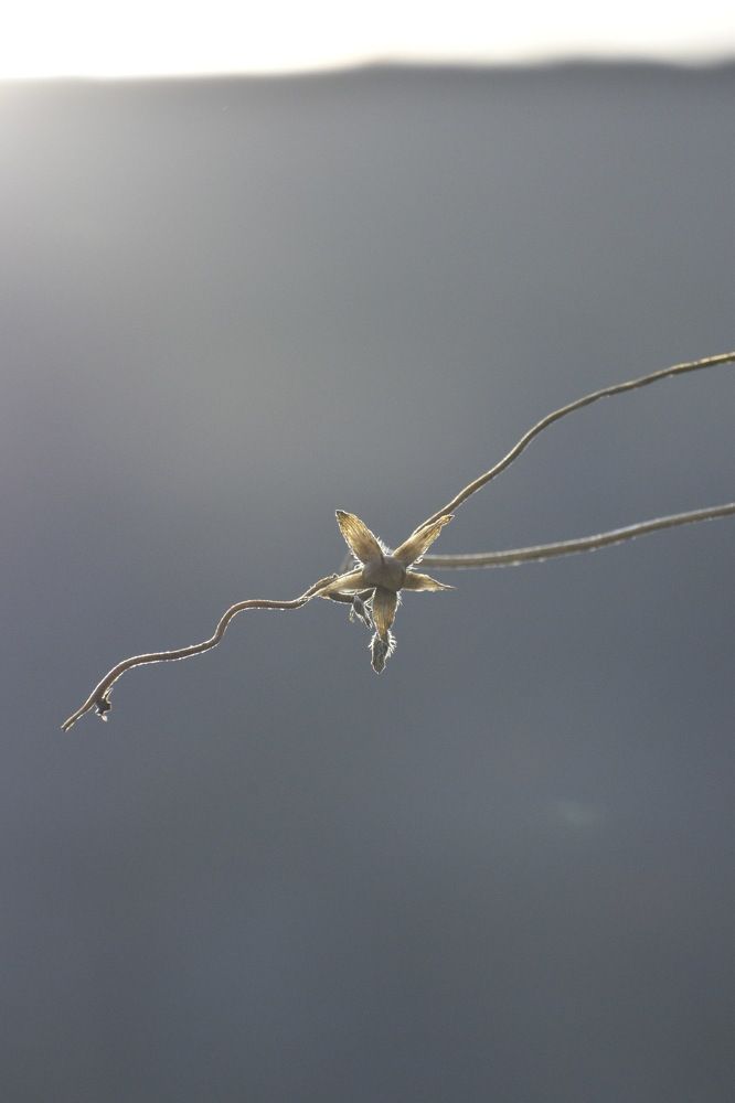 Фотография автора Daniela Stanojkovska