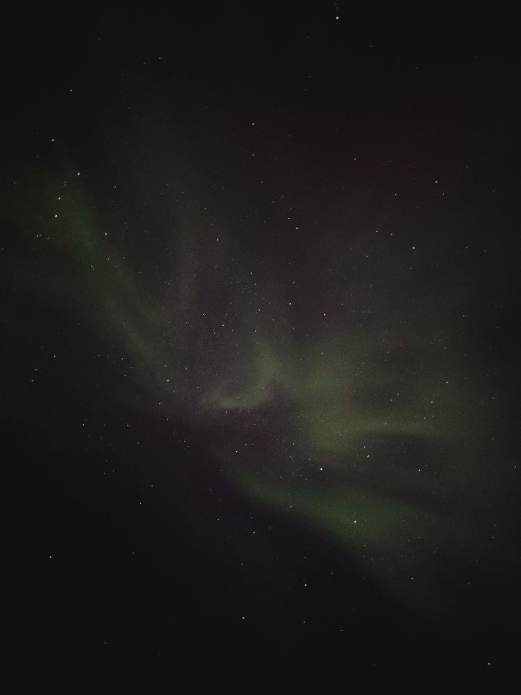 Photograph by Алиса Нежинская