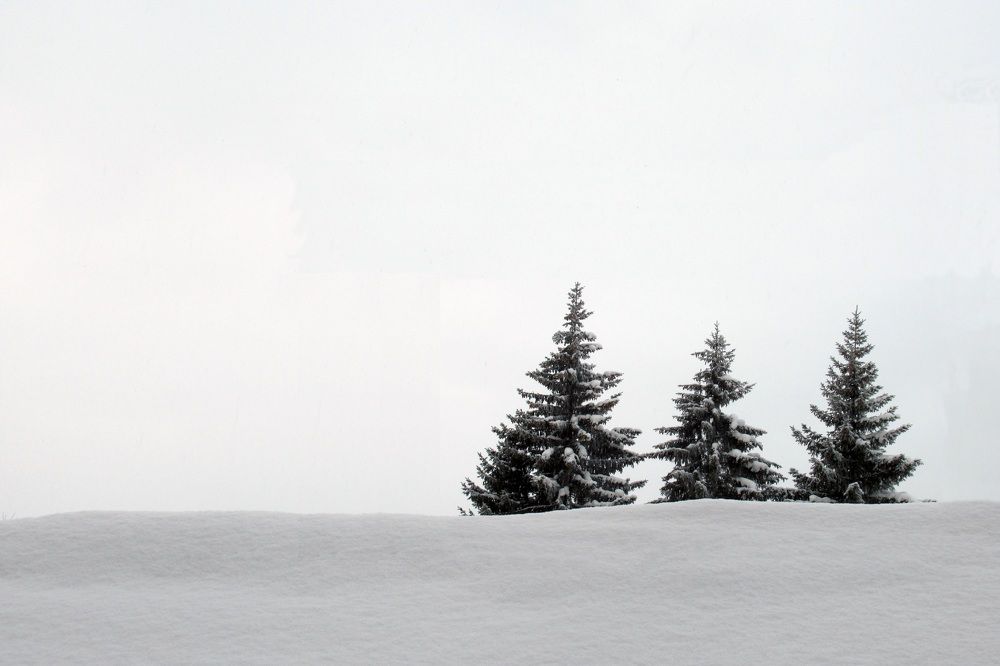 Photograph by Ольга Березовская