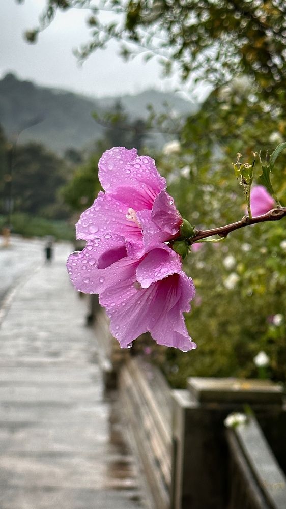 Photograph by Shahrzad Kadkhodae