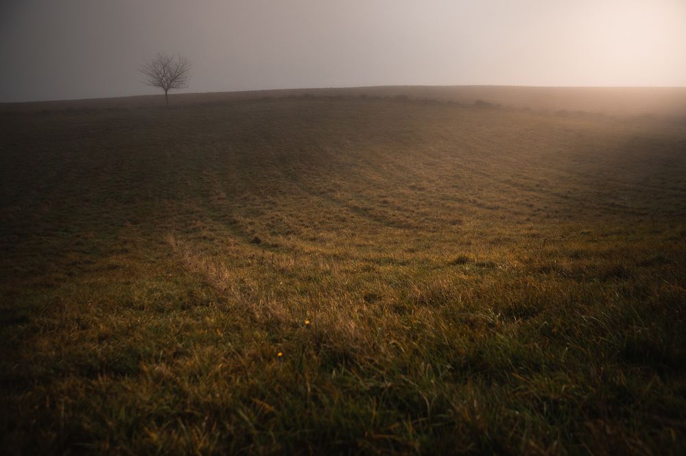 Фотография автора Tomas Kozel