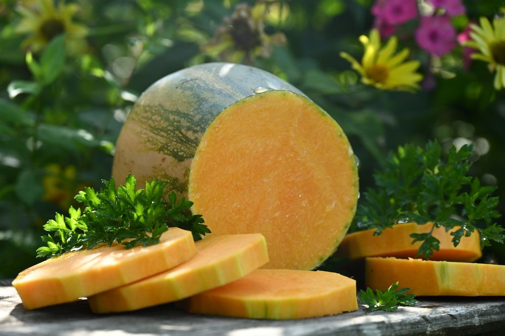 Photograph by Sviatlana