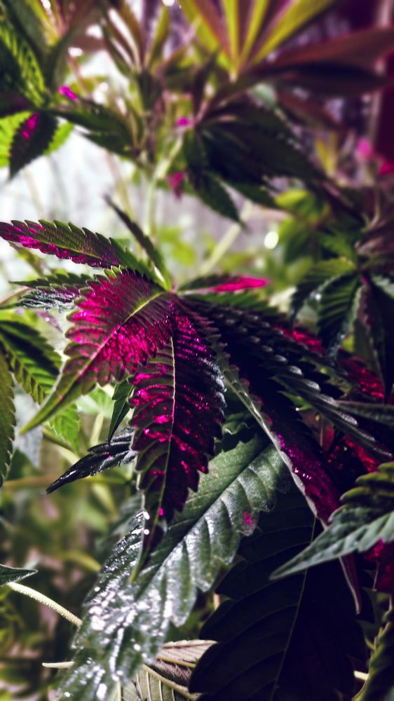 Фотография автора Всеволод Юрша