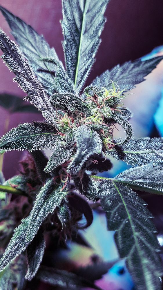 Фотография автора Всеволод Юрша