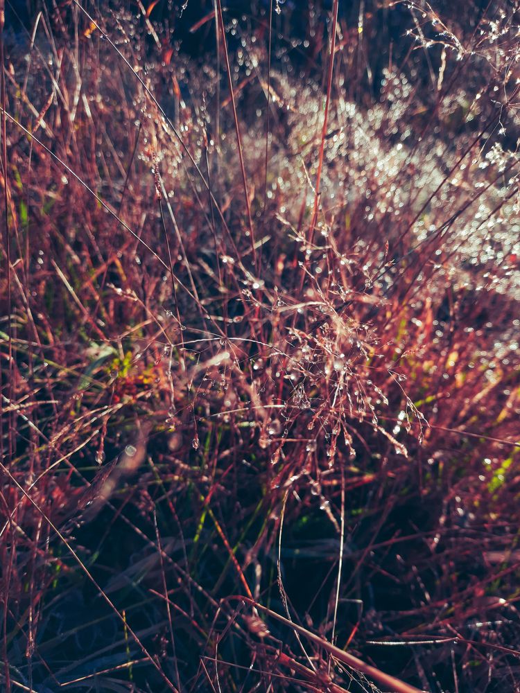 Фотография автора Всеволод Юрша