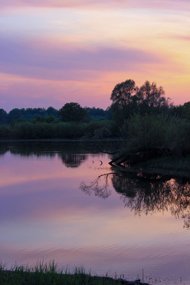 Photograph by Диана Кучумова