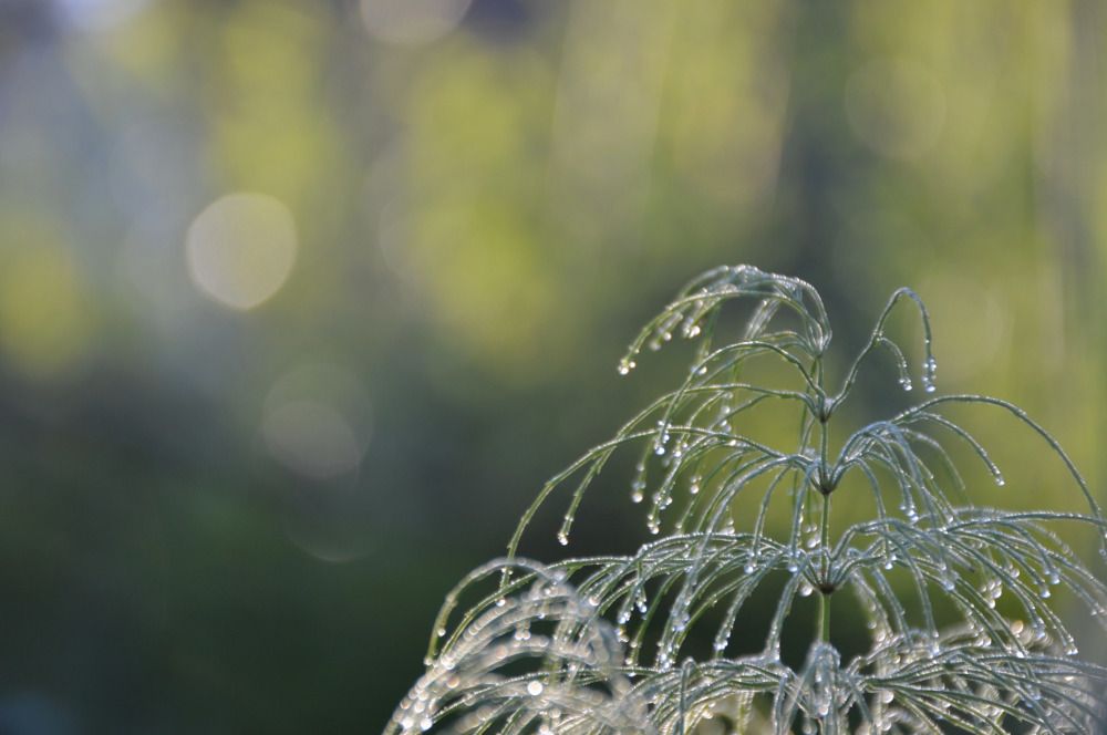 Photograph by Анна