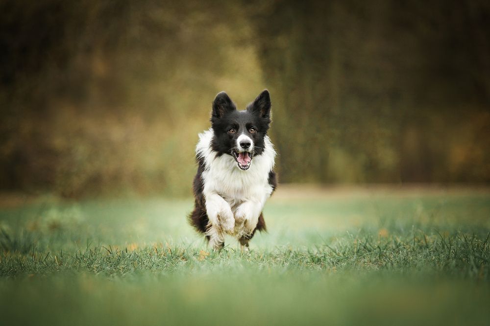 Photograph by Настасья Андреевна