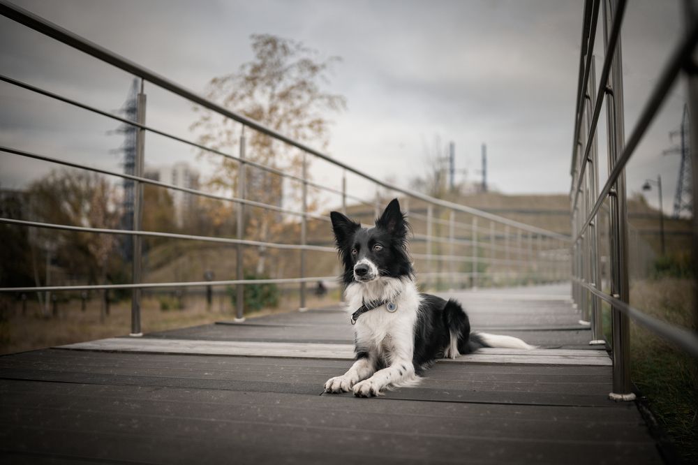 Photograph by Настасья Андреевна