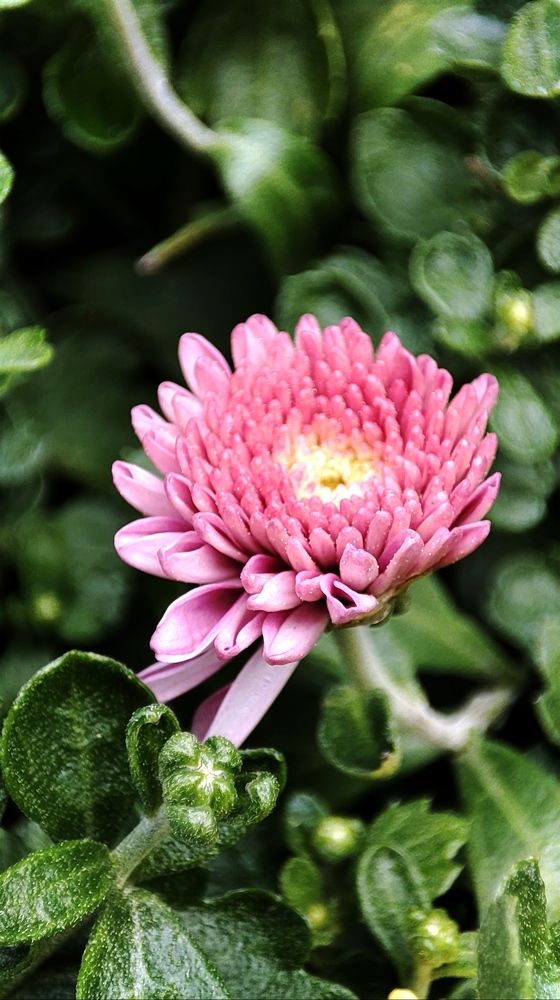 Photograph by Ольга