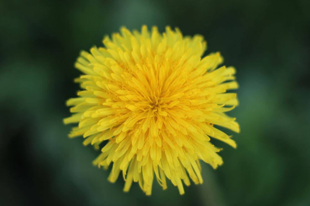 Photograph by Katerina Makhtadui