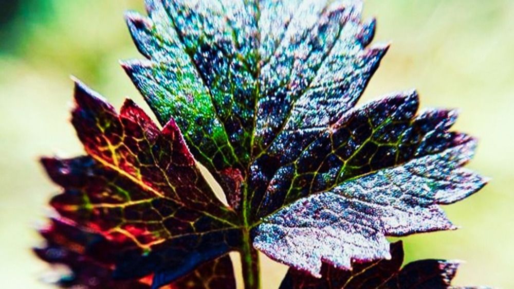 Фотография автора Всеволод Юрша