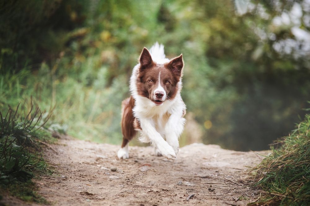 Photograph by Настасья Андреевна