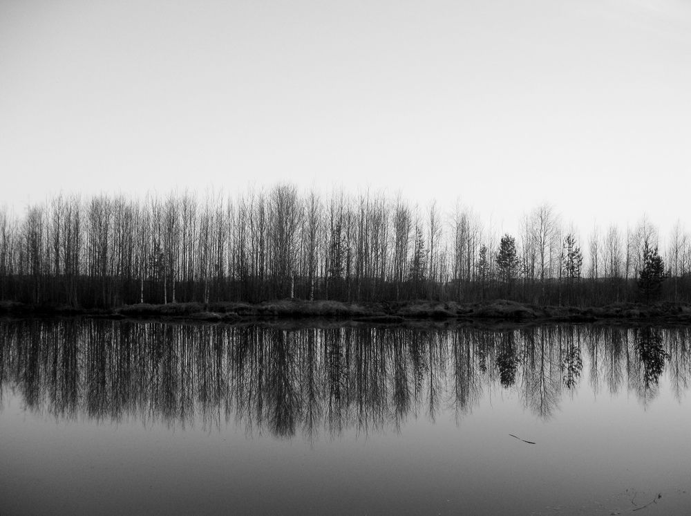 Photograph by Ольга Ситникова