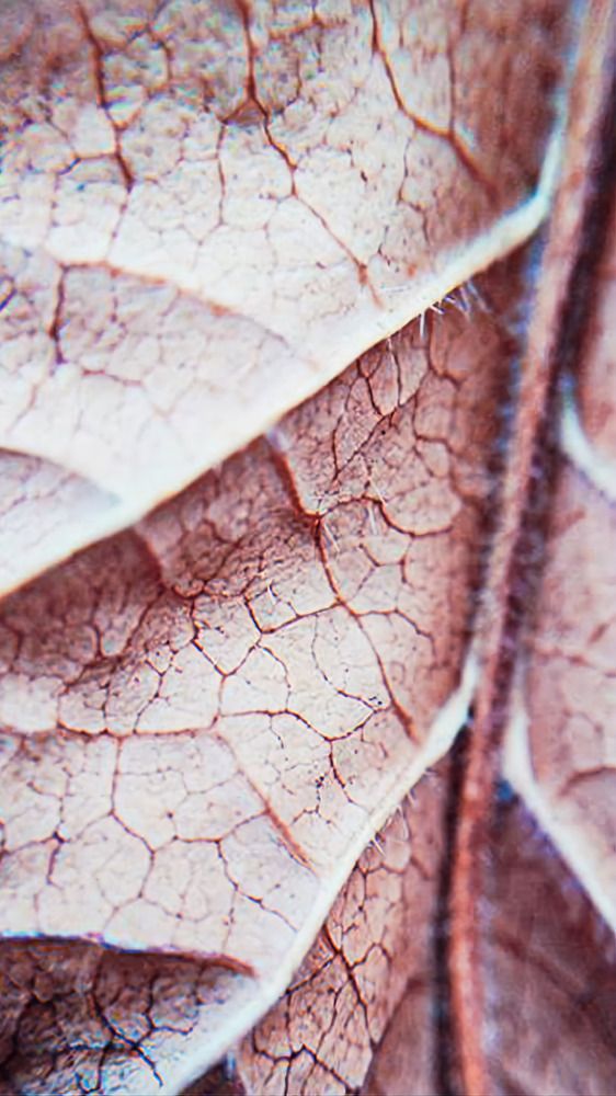 Фотография автора Всеволод Юрша