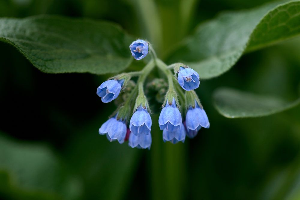 Photograph by Дмитрий Солодухин