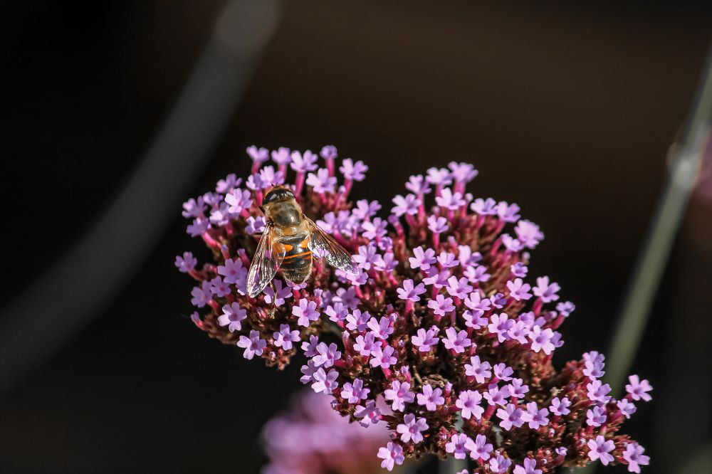 Photograph by Dina Garipova