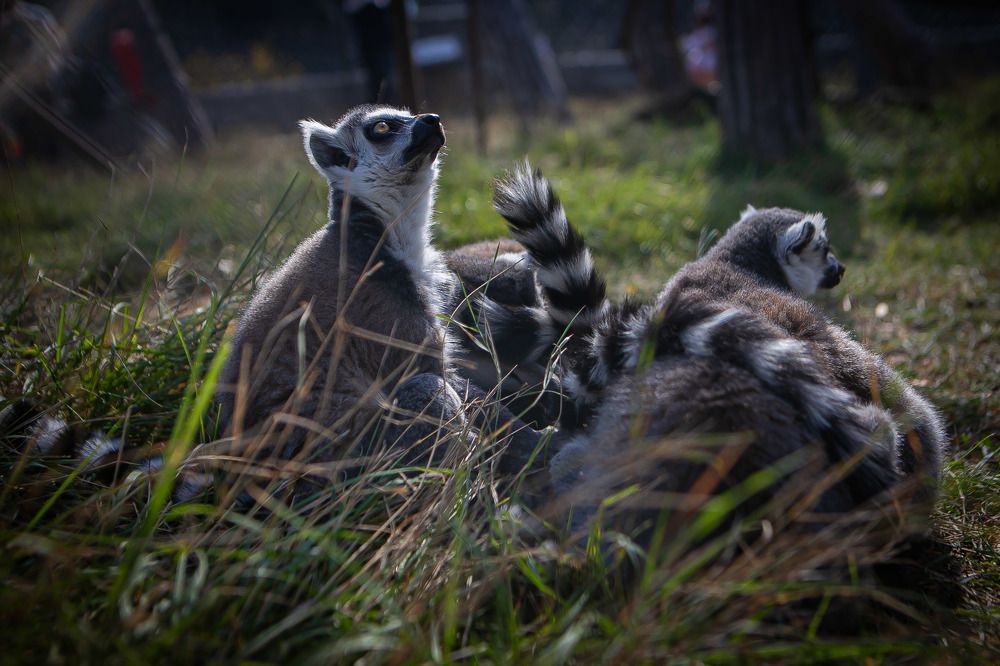Photograph by Очева Наталья Александровна