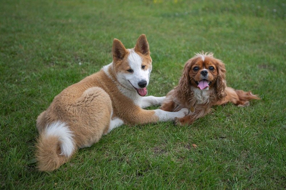 Photograph by Очева Наталья Александровна