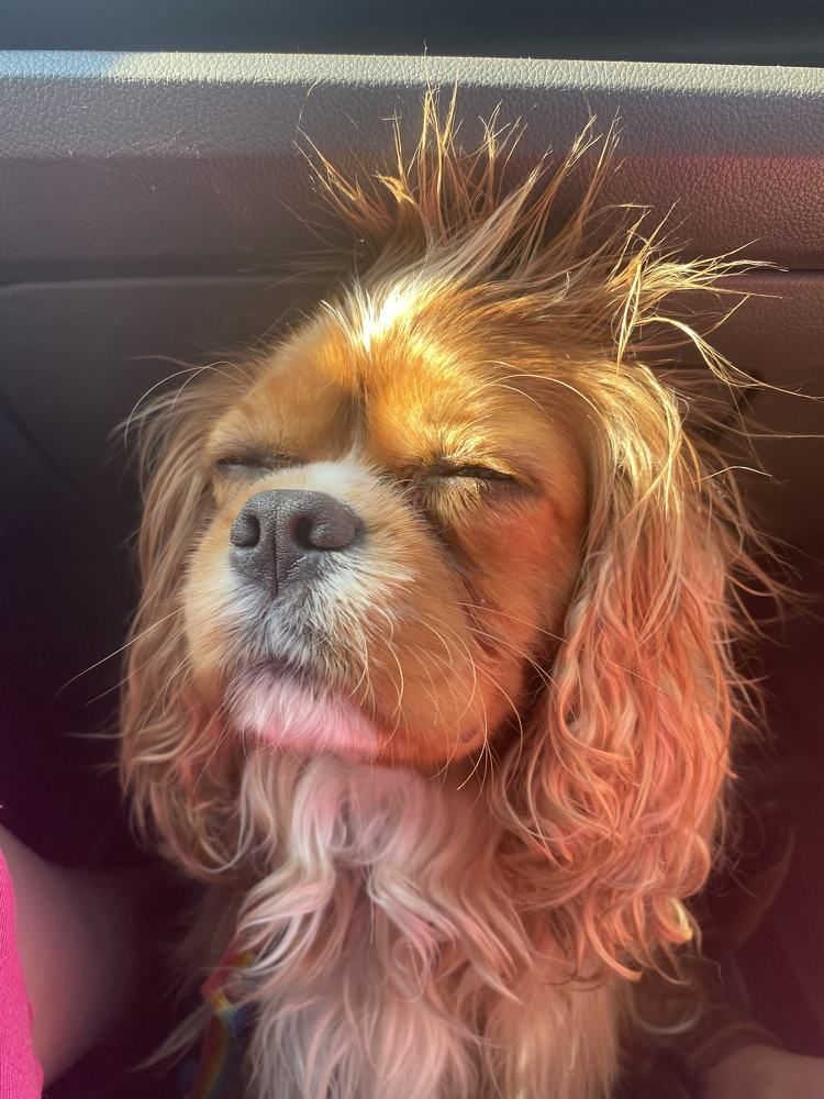 Photograph by Очева Наталья Александровна