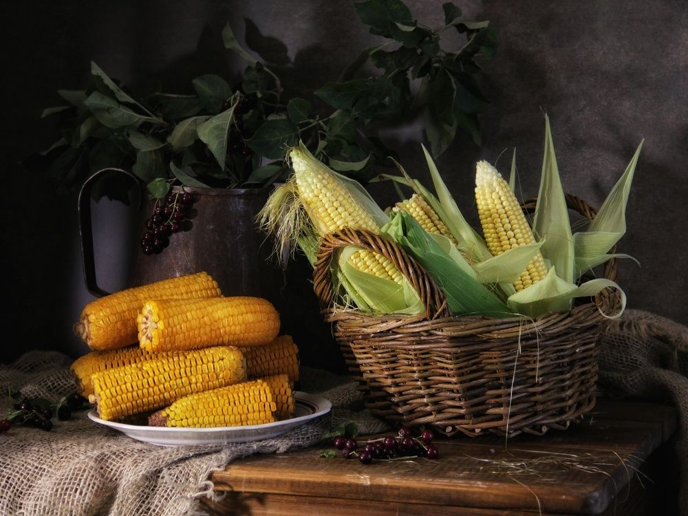 Photograph by Елена Доянова