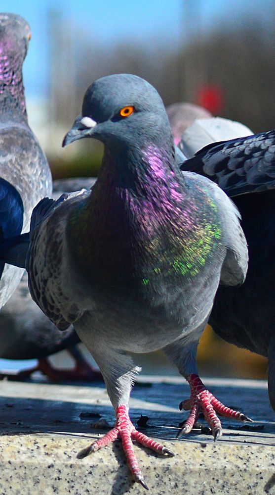 Photograph by Natalia Kopeva