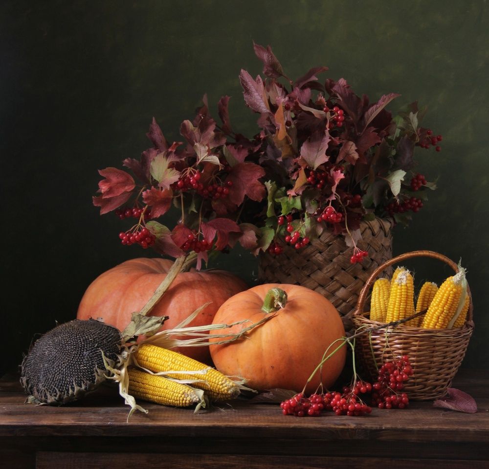 Фотография автора Елена Доянова