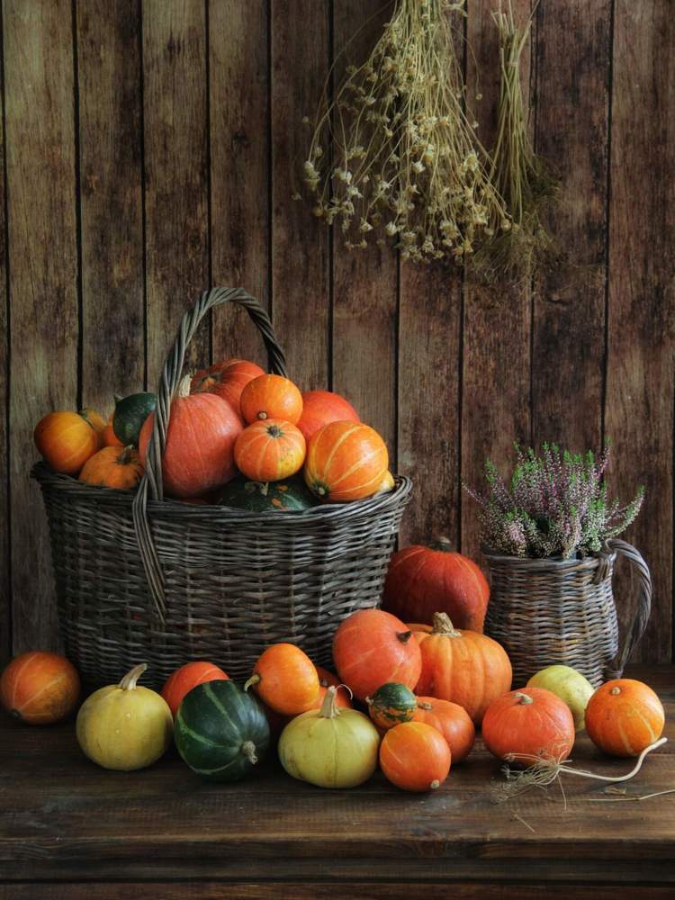 Фотография автора Елена Доянова