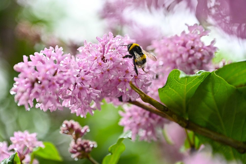 Photograph by Tanzilya Gabidullina