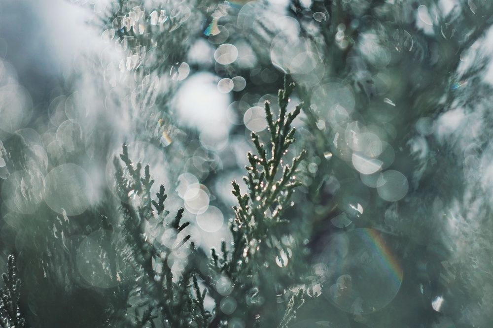 Photograph by Yulia Bilato