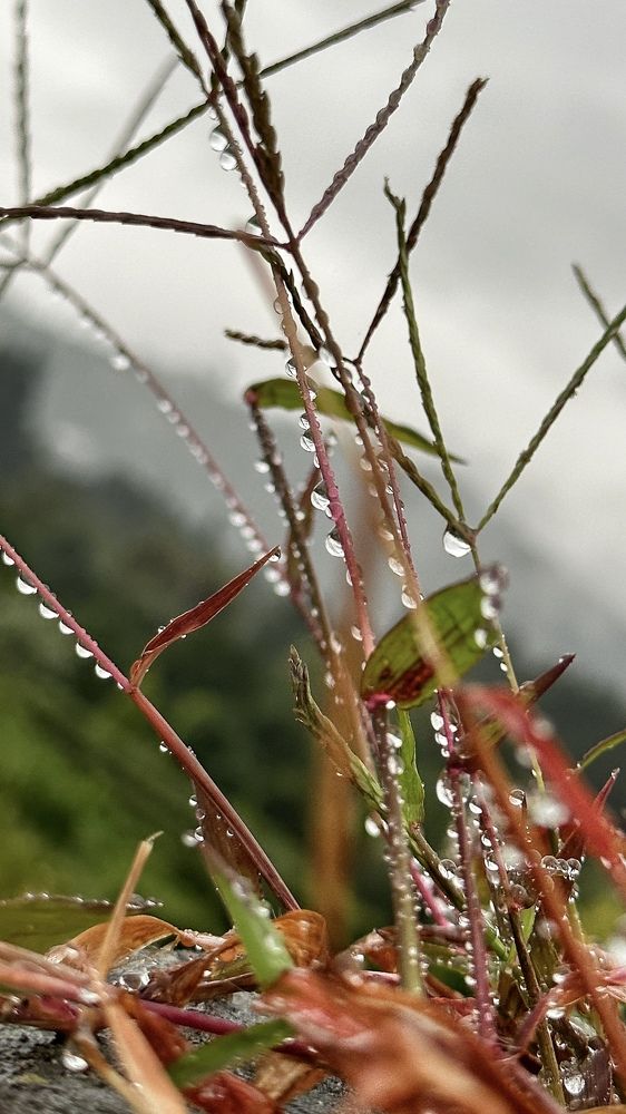 Photograph by Shahrzad Kadkhodae