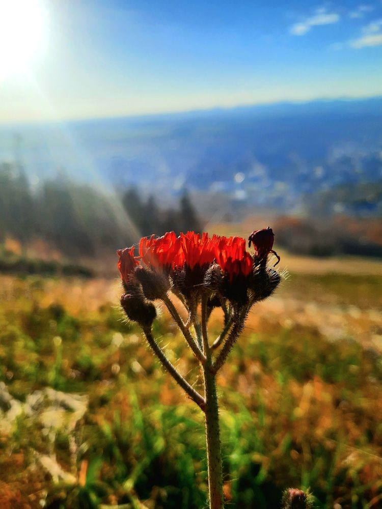 Photograph by Sergei Malyuga