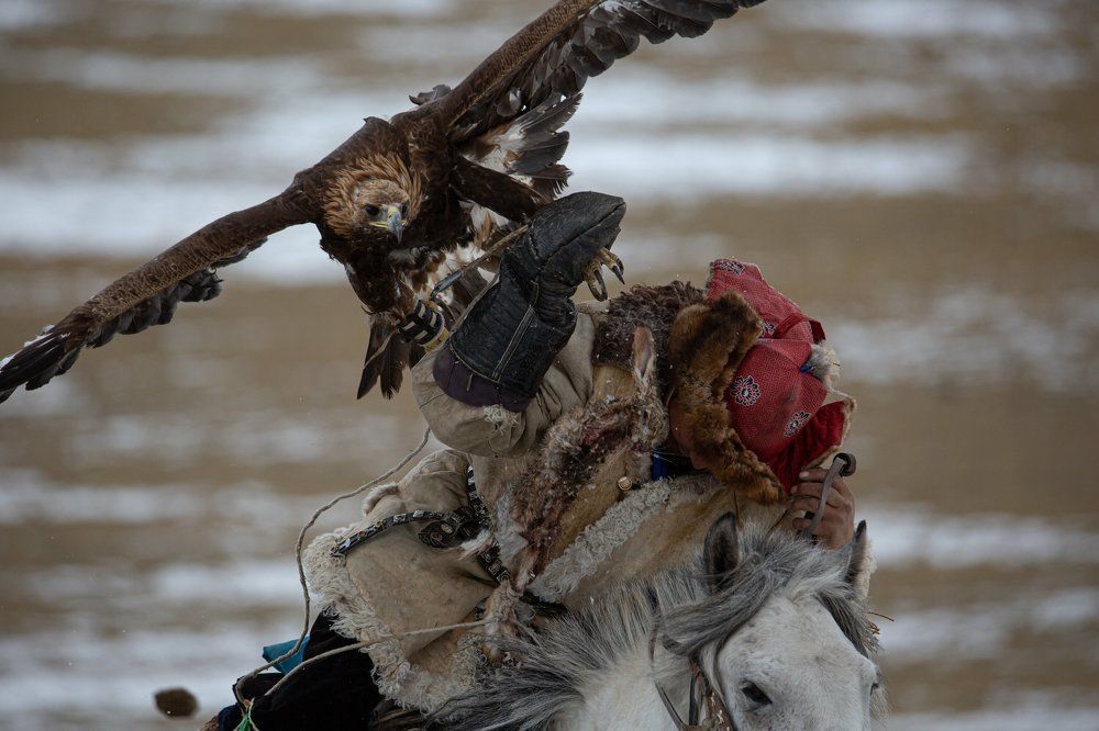 Photograph by Marina Buzina