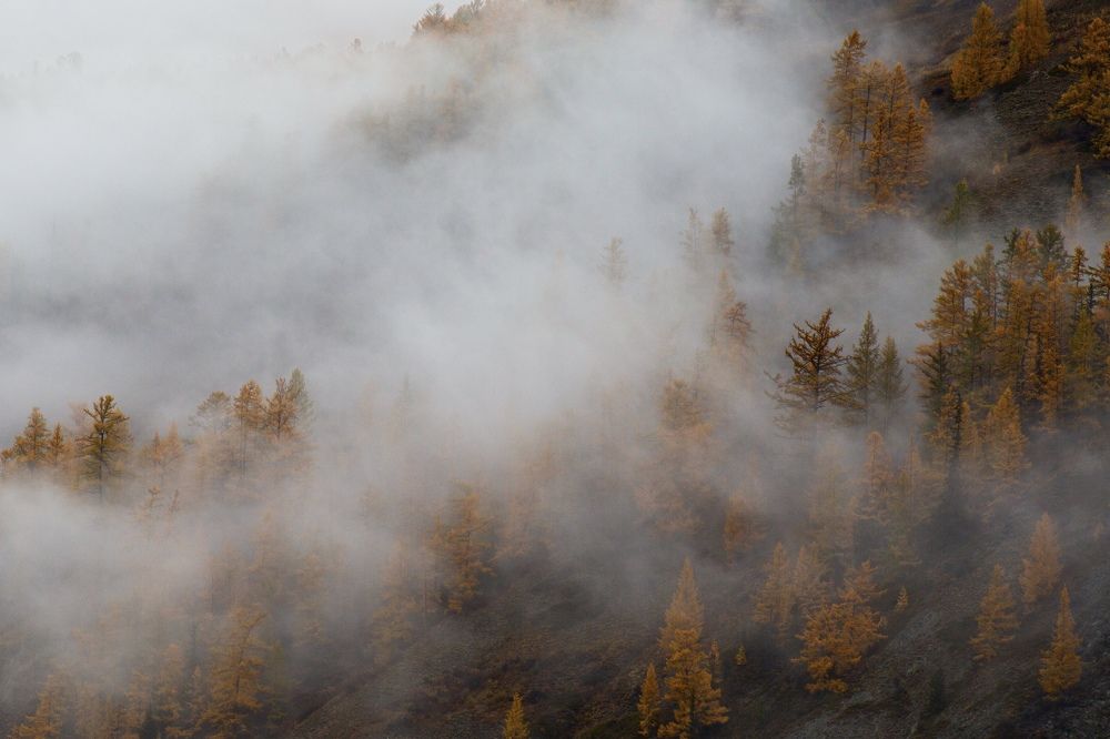 Photograph by Marina Buzina