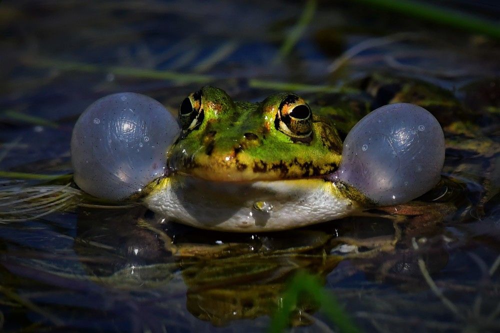 Photograph by nimalan subramaniam