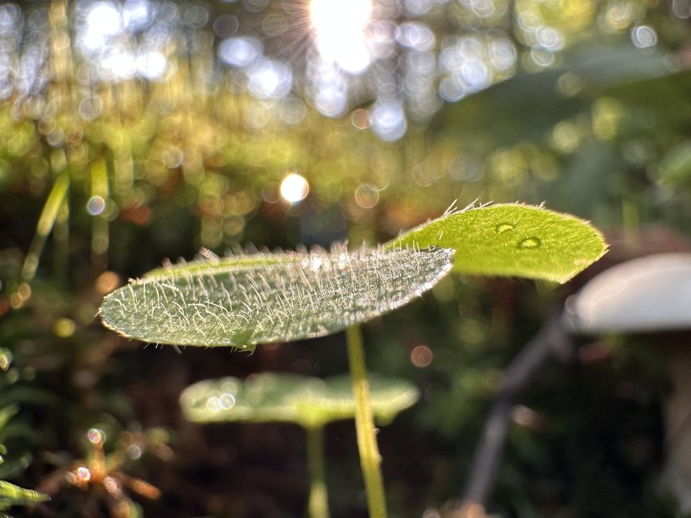 Photograph by Evgenia Barinova