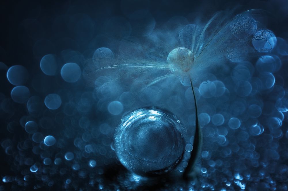 Photograph by Виктория Шаманова