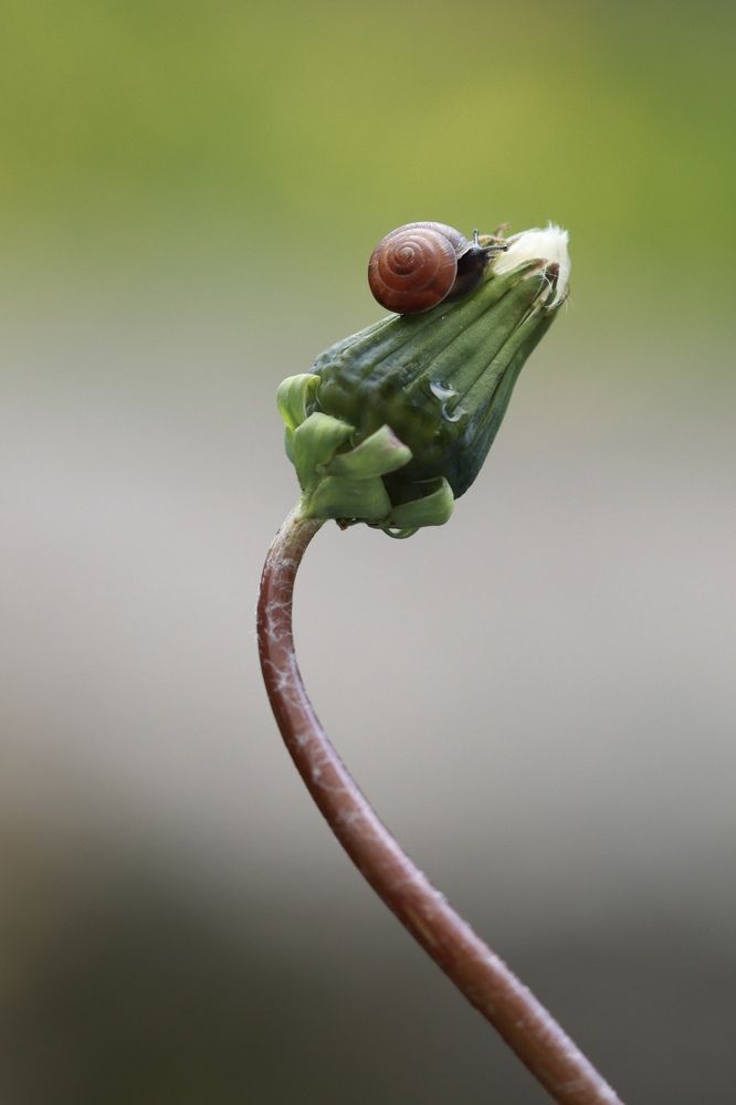 Photograph by Малика Маткарим