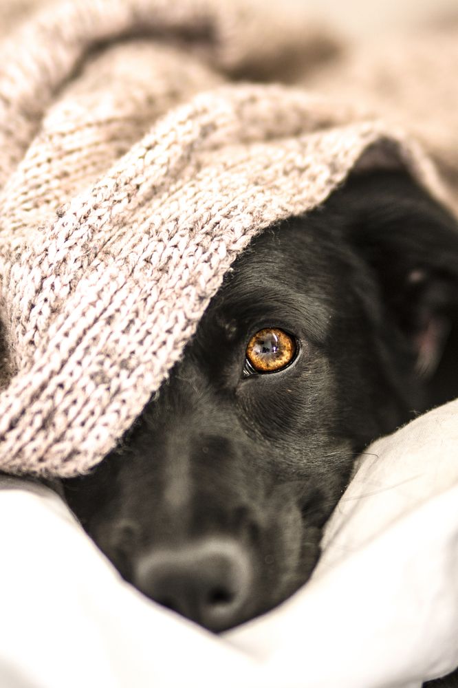 Photograph by Gina Rospigliosi