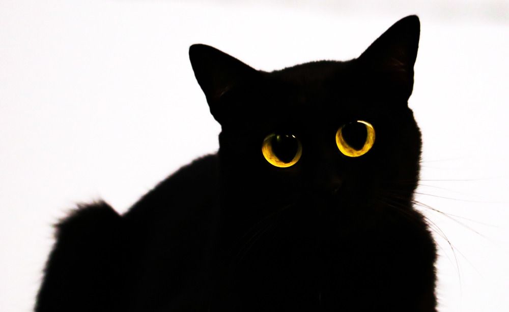 Photograph by Frank cobo blanco