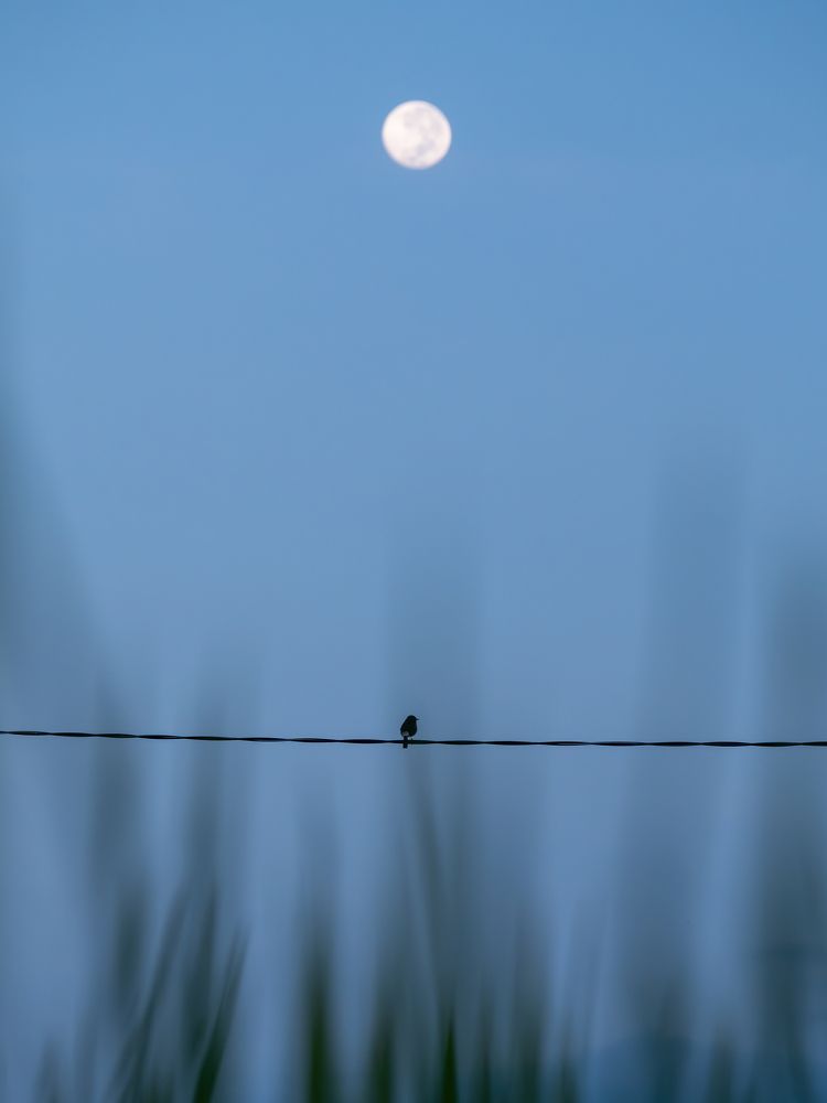 Photograph by Khim Cambo