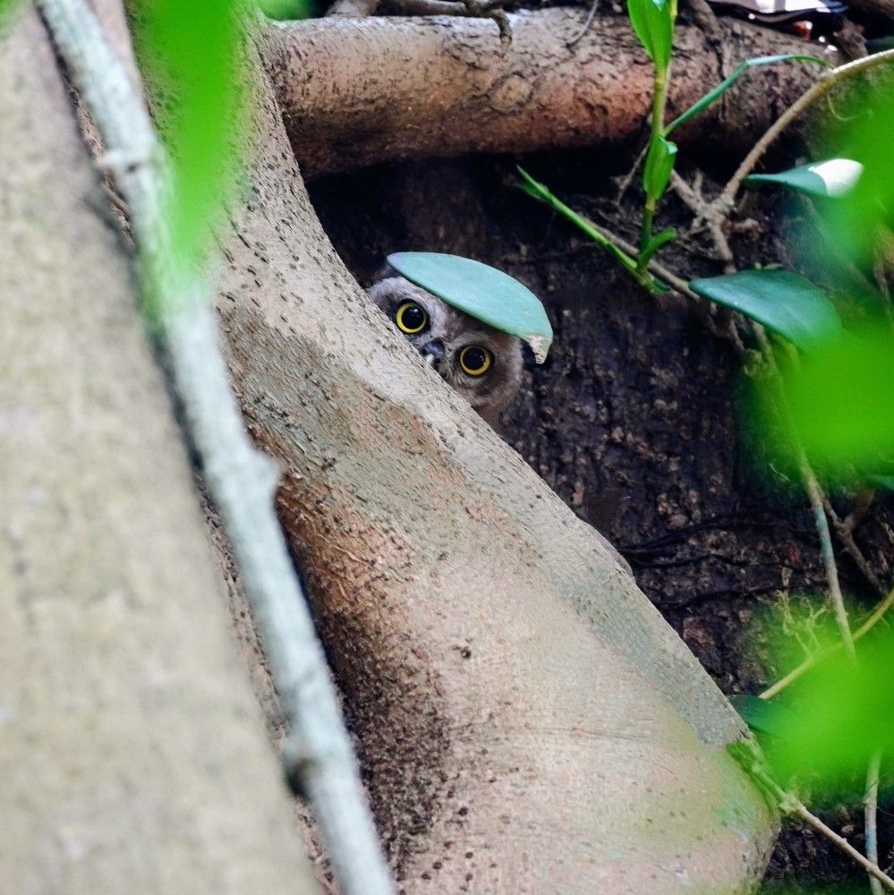 Фотография автора Md shahidul Islam