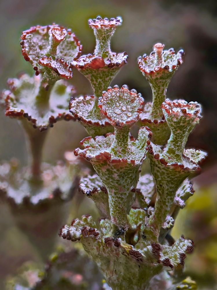 Photograph by Кузнецов Дмитрий