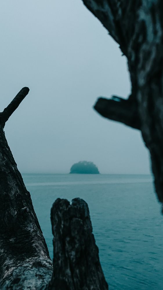 Фотография автора Алексей Федорищев