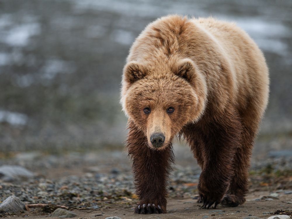 Photograph by Parth Shiras