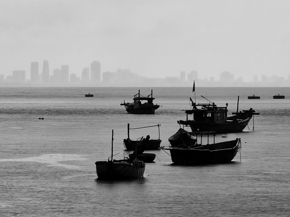 Фотография автора SY THANH LAI